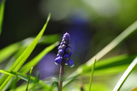DSC_0009.JPG