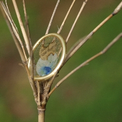 P4294763.JPG