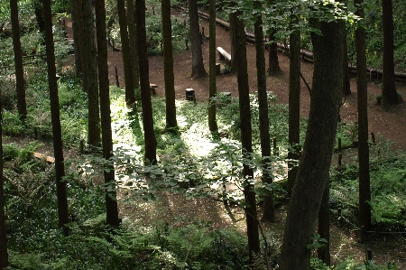 P5094947.JPG