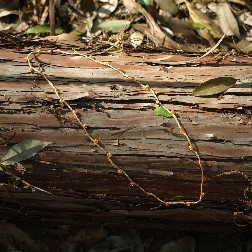 P5094880.JPG