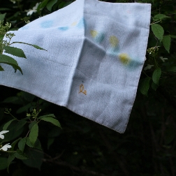 P5094941.JPG