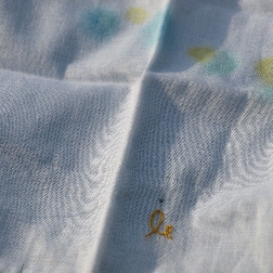 P5094938.JPG