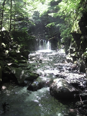 2010072509320000.jpg